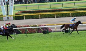 アーモンドアイは「ブエナ、ジェンティル以上」も“アノ馬”には……!? 天皇賞・秋（G1）圧勝にノーザンファーム吉田勝己氏「こんなにすごいのは初めて」