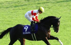 JRA川田将雅「ダノンプレミアム完敗」でリーディング首位陥落……天皇賞・秋「やはりアーモンドアイは強い」春から独走もルメールついに捉える