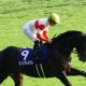JRA川田将雅「変な競馬になって」武豊へ謝罪!? みやこS(G3)1番人気インティ最下位大敗に“疑惑”の声……