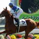 元JRAジョッキー安藤勝己「無理だなと思ったね」エリザベス女王杯(G1)で「大失態」!? 「これはヤバい」血の気ひいた3コーナー「まさか、あの2頭が……」