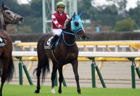 JRAオジュウチョウサン「大敗」平地挑戦は終了!?　有馬記念（G1）以来で1番人気も「次走」は……