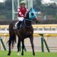 JRA【中山GJ(G1)展望】オジュウチョウサン有力馬続々「回避」でV6に急浮上!? 三度目の正直ケンホファヴァルト、世代交代狙う“若駒”にも注目
