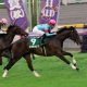 JRA「第2のアーモンドアイ」マジックキャッスル!? クイーンC(G3)レシステンシアに一番迫った牝馬が戴冠なるか!?