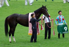 JRAリアアメリア「匹敵する馬出てこない」関係者一同お手上げの強さ。単なる「矯正中」で楽々勝利の戦慄