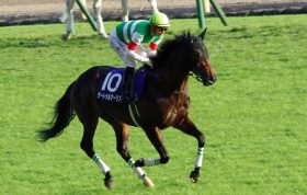 天皇賞・秋（G1）「何故」サートゥルナーリアは沈んだのか？ アーモンドアイ「進路妨害」厳しさ見せるも、乗り越えられなかった「春の課題」