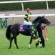 JRA「恐らく、相当なもんになる」横山典弘の予言的中!? “親バカ”ではなかった父の言葉…… ”武豊超え”託した「秘蔵っ子」がついに関東の頂点に