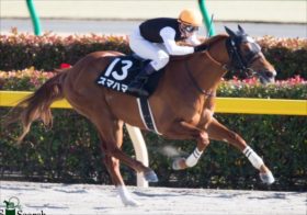 JRA東海S(G2)スマハマ激走必至！天を味方にインティへリベンジ