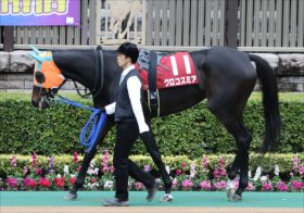 JRA戸崎圭太離脱でクロコスミア「3度目の正直」に暗雲……「経験者」騎乗不可の実情