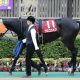 【武蔵野S(G3)展望】「上がり馬」エアアルマスVS「実績上位」サンライズノヴァ! チャンピオンズCを狙う実力馬がそろった1戦を制するのは誰だ