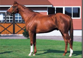 JRAマヤノトップガン死す「ナリタブライアン伝説の阪神大賞典」「3強の天皇賞・春」競馬界に確かな足跡