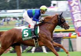 JRA武豊と初コンビ“千四巧者”ビッククインバイオを母が強力アシスト？復活狙うシャインガーネットとギルデッドミラーも虎視眈々【京都牝馬S（G3）展望】