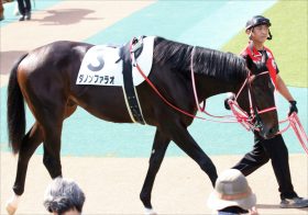 JRA「轟沈」カフェファラオと明暗、坂井瑠星ダノンファラオ「師弟の絆」でジャパンダートダービー勝利！ 外国人騎手全盛時代に際立つ存在感