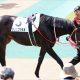 JRA一致団結でコロナ撃退! ソダシとの「コンビ継続」に吉田隼人も感謝!? 絆の“3密”で掴んだ「4年半ぶり」のG1制覇
