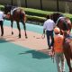第2のベラジオオペラへ「大本命」がデビュー戦を圧勝! 上村洋行調教師「クラシックへ乗せていきたい」急上昇中のベラジオ軍団から、またも大物誕生か