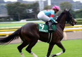 【阪神JF（G1）枠順確定】JRAリアアメリア、ウーマンズハートらの気になる枠は？