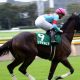 阪神JF(G1)大本命リアアメリアは「何故」敗れたのか? デビュー戦「馬なり8馬身」圧勝フィーバーの陰に隠れていた課題