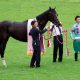 阪神JF(G1)大本命リアアメリアは「何故」敗れたのか? デビュー戦「馬なり8馬身」圧勝フィーバーの陰に隠れていた課題