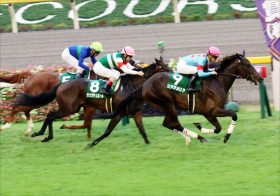 JRA阪神JF（G1）リアアメリアから「好配当」も！ 信頼の「現場ネタ」が導く「究極の三連単」が決定!!