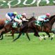 阪神JF(G1)大本命リアアメリアは「何故」敗れたのか? デビュー戦「馬なり8馬身」圧勝フィーバーの陰に隠れていた課題