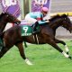 川田将雅「デアリングタクトに挑戦できる器」VS元JRA安藤勝己「牝馬3冠は揺るぎない」ローズS(G2)リアアメリア復活勝利も見解に大きな隔たり