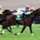 JRA有馬記念(G1)リスグラシュー×レーン騎手で名誉挽回!? 16年ぶり「特例」も思い出される「日本ダービー1番人気」の悪夢