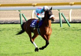 JRAアーモンドアイ揺れる「ヴィクトリアマイル後」の動向…天皇賞・春連覇フィエールマン「宝塚記念」参戦で、C.ルメール騎手は