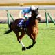 JRA天皇賞・秋(G1)の裏で「ダート最強馬」決定戦!? 松田国英厩舎の「秘密兵器」2頭が仮対決か……名伯楽が「G1級」と評した素質馬が登場