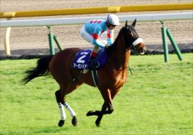 JRAアーモンドアイ「芝G1・最多勝記録更新」へ不安の声も!? “芝G1・8勝“の壁を超えられなかったディープインパクト、シンボリルドルフ、テイエムオペラオーら「過去の名馬たち」