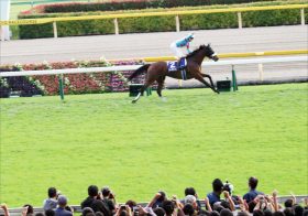 JRAアーモンドアイ「有馬記念出走」確実か……ルメールどうなる、国枝師「普通に走れば問題ない」自信十分