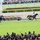 JRAまだまだ間に合う!? 春の東京開催で「単勝万馬券」級の「爆穴連発」騎手は誰だ……お宝の宝庫はあの条件!