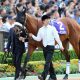 JRA「幻の3強」ラッキーライラックを超えた打倒アーモンドアイ筆頭。無念の引退から2年……今もファンから惜しむ声