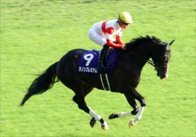 JRA「必死のWダノン」マイルCS（G1）ダノンプレミアム＆ダノンキングリーで「G1未勝利」脱却狙う