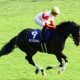 JRA武蔵野S(G3)は現場ネタ「1点」大勝負! やはりあの馬は外せない