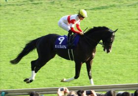 JRAマイルCS（G1）栗東からダノンプレミアム「覇気なし」情報？ 絶好調はあのG1ホース！