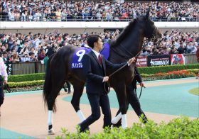 JRA「お騒がせ払拭」ダノンプレミアムが安田記念（G1）参戦!! 主戦・川田将雅「アドマイヤマーズ」と新コンビ報道に陣営の判断は……