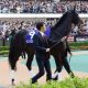 JRA川田将雅・ダノン続々「乗り替わり」。プレミアムもスマッシュも……。状況打破はヴィクトリアマイル(G1)次第か!?