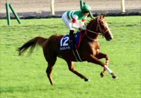 JRA京都記念（G2）ドレッドノータスに京都大賞典の激走再現!? 勝ち切れない馬同士の対戦に色気