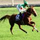 JRA京都記念(G2)「雨の鬼」アメリカズカップ急浮上! 「土曜より日曜の方が馬場も悪くなりそう」陣営も“道悪狙い”徹底