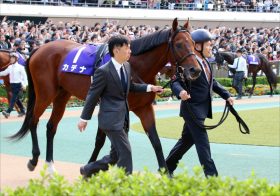 JRA武豊「ワープ」で沸かせた元クラシック候補と待望のコンビ復活！ 衰え知らずのディープインパクト産駒と狙う「11年ぶり」大金星