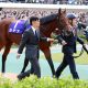 JRA新潟記念(G3)ワーケアがG1制覇に王手?? そのワケはC.ルメールとのコンビ愛!?