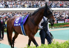 JRA大阪杯（G1）「逆襲」ヒューイットソンが10年ぶり記録狙う!? 先週、高松宮記念（G1）タワーオブロンドン無念の降板劇