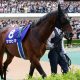 JRA社台グループも諦めた? 北海道の競馬関係者が嘆く「札幌記念G2→G1昇格」は、もはや夢物語か