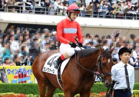 JRA札幌のルメールには逆らうだけ無駄!? 大きな異変が起きたのは種牡馬の勢力図……馬券攻略のヒントになるか