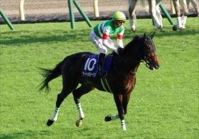 JRA第2のサートゥルナーリア、クリソベリルの馬主に!? キャロットクラブが1歳馬カタログを公開！【一口馬主・注目馬ピックアップ】