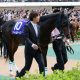 元JRA細江純子さん、コントレイルに「辛口ジャッジ」!? 「正直、菊花賞の方が……」ジャパンC(G1)陣営「良化強調」も、最終追い切りは……