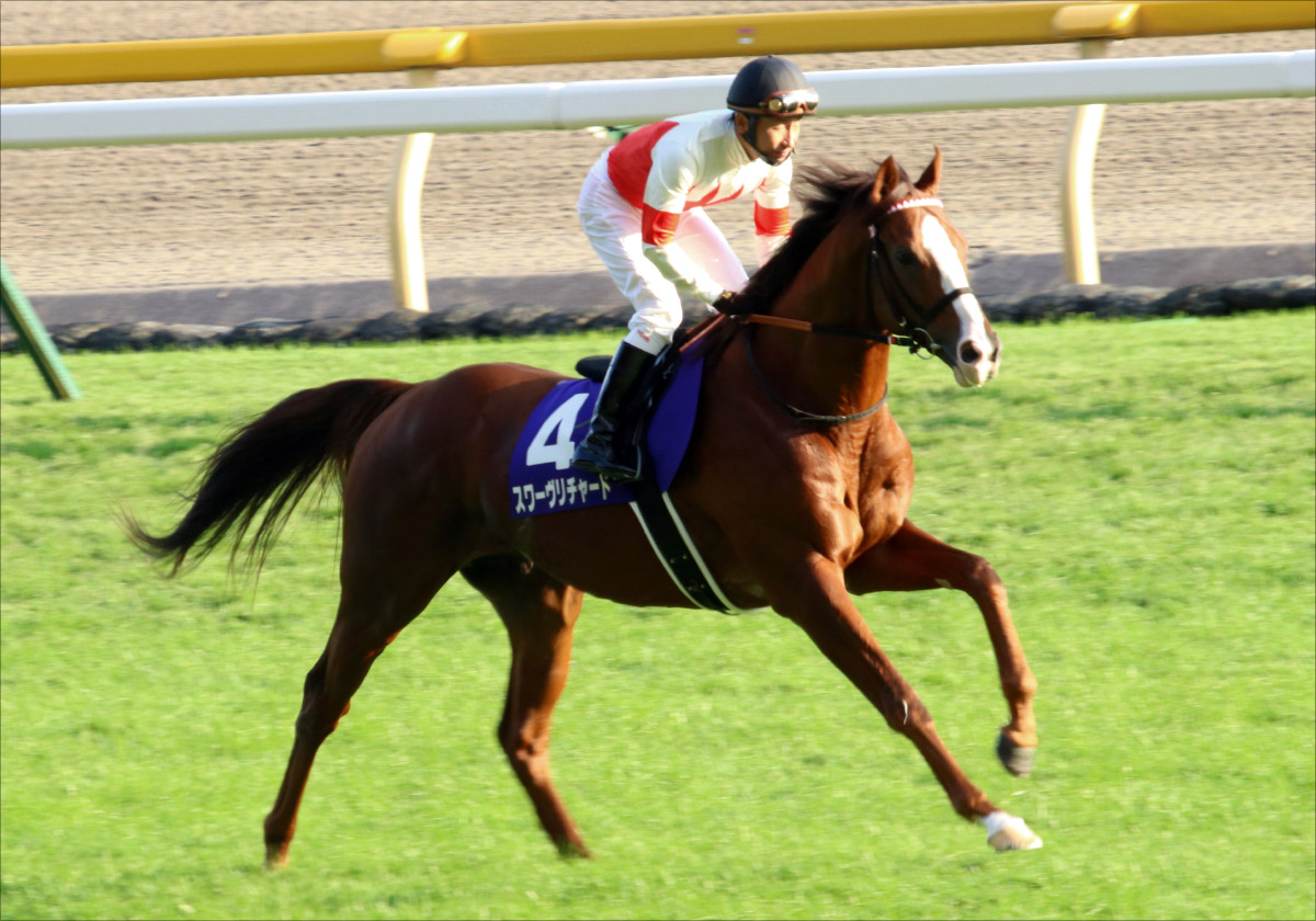 JRAジャパンC(G1)確信の「三連単」が決定! 渾身の「現場ネタ」が導く魅力的な「伏兵」も狙い撃ち!!の画像1