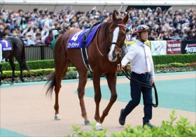 2019JRA年度代表馬決定戦：有馬記念。栄光を手にするのはアーモンドアイ、スワーヴリチャード、リスグラシュー、フィエールマン？条件を徹底検証。