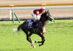 JRA「困窮」ウインブライト陣営に「崩壊の足音」？ 香港C制覇でも畠山厩舎の「将来不安」如実