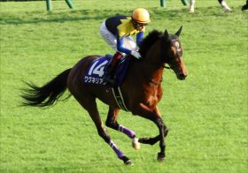 JRA武豊ワグネリアン無視できない「疑惑」だらけ!? 京都記念（G2）ドリームタッグ実現が「プラス」とならない理由