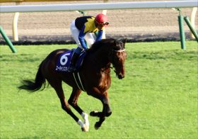 JRA「青葉賞レコード」幻の日本ダービー候補オーソリティが復帰！ 遅れてきた大物3歳が重賞3勝ユーキャンスマイルと激突！【アルゼンチン共和国杯（G2）展望】